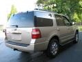 Pueblo Gold Metallic - Expedition XLT Photo No. 5