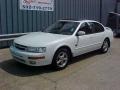 Icelandic Pearl - Maxima GLE Photo No. 2