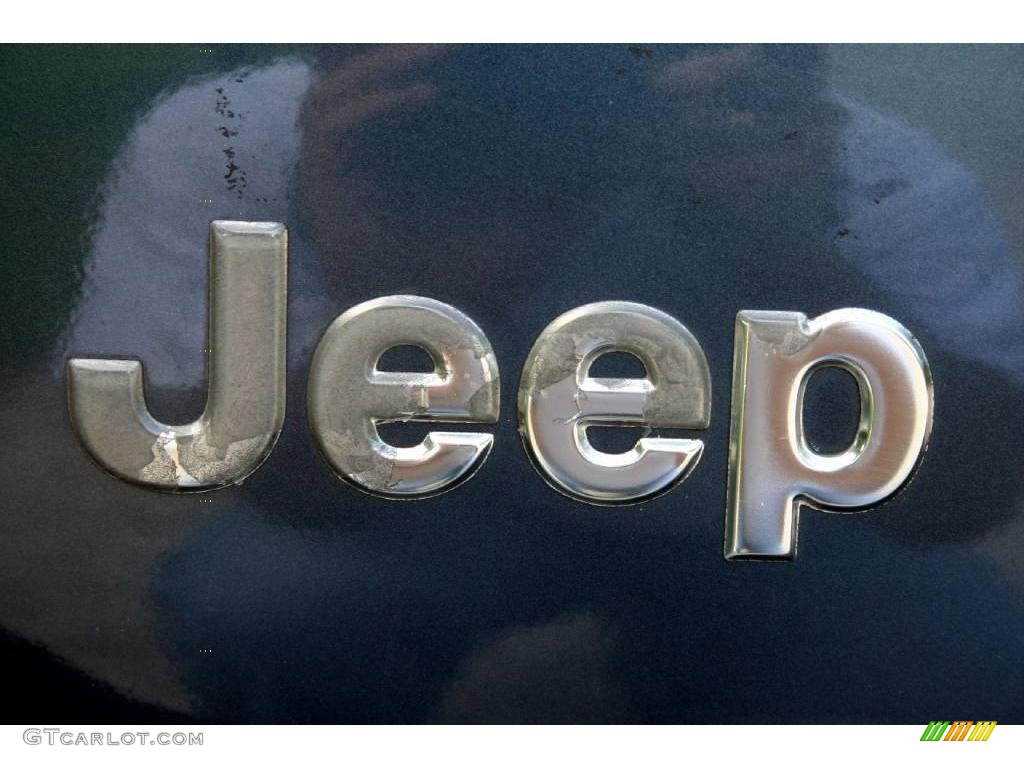 2001 Grand Cherokee Laredo 4x4 - Steel Blue Pearl / Agate photo #26