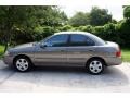 Bronze Shimmer - Sentra 1.8 S Photo No. 11