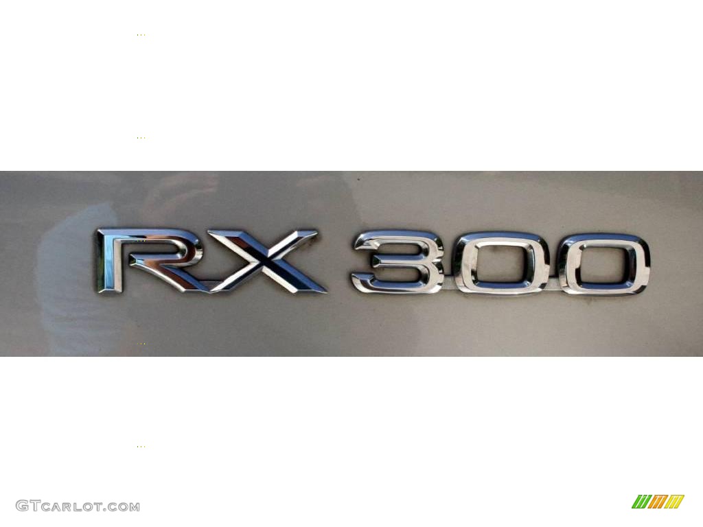 2000 RX 300 - Millennium Silver Metallic / Gray photo #40
