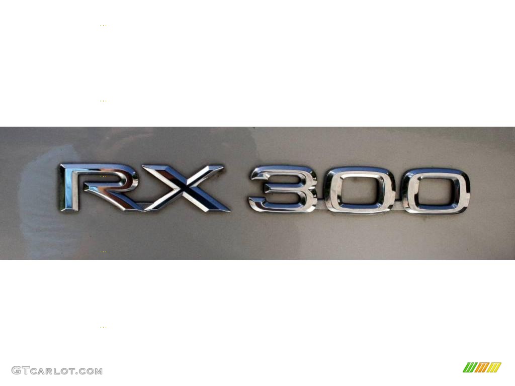 2000 RX 300 - Millennium Silver Metallic / Gray photo #60
