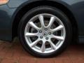 Carbon Gray Pearl - TSX Sedan Photo No. 18