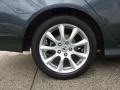 Carbon Gray Pearl - TSX Sedan Photo No. 20