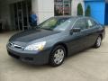 2006 Graphite Pearl Honda Accord LX Sedan  photo #8