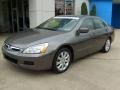2006 Carbon Bronze Pearl Honda Accord EX-L V6 Sedan  photo #8