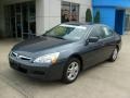 2007 Graphite Pearl Honda Accord EX Sedan  photo #8