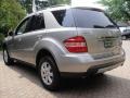 2006 Pewter Metallic Mercedes-Benz ML 350 4Matic  photo #5