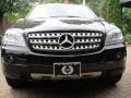 Black - ML 350 4Matic Photo No. 2
