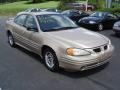 2001 Champagne Beige Metallic Pontiac Grand Am SE Sedan  photo #16