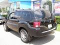 2005 Kalapana Black Mitsubishi Endeavor Limited AWD  photo #4