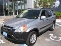 2004 Satin Silver Metallic Honda CR-V EX 4WD  photo #4