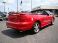 1994 Rio Red Ford Mustang Indianapolis 500 Pace Car Cobra Convertible  photo #3