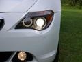 Alpine White - 6 Series 650i Coupe Photo No. 14