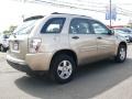 2006 Sandstone Metallic Chevrolet Equinox LS  photo #4