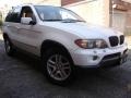 Alpine White - X5 3.0i Photo No. 2