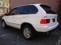 Alpine White - X5 3.0i Photo No. 4