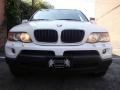 Alpine White - X5 3.0i Photo No. 6