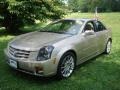 Sand Storm - CTS Sport Sedan Photo No. 2