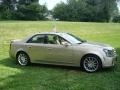 Sand Storm - CTS Sport Sedan Photo No. 3
