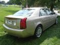 Sand Storm - CTS Sport Sedan Photo No. 4