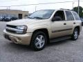 2004 Sandstone Metallic Chevrolet TrailBlazer LS 4x4  photo #7