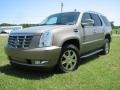 Radiant Bronze - Escalade AWD Photo No. 2