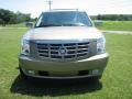 Radiant Bronze - Escalade AWD Photo No. 8