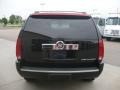 Black Raven - Escalade AWD Photo No. 5