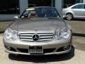 Pewter Metallic - SL 550 Roadster Photo No. 2