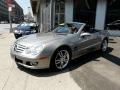 Pewter Metallic - SL 550 Roadster Photo No. 19