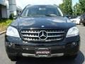 Black - ML 350 4Matic Photo No. 2