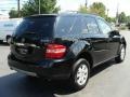 Black - ML 350 4Matic Photo No. 4