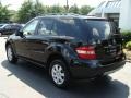 Black - ML 350 4Matic Photo No. 6