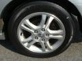2006 Alabaster Silver Metallic Honda Accord EX-L Sedan  photo #14