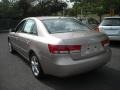 2007 Golden Beige Hyundai Sonata GLS  photo #2