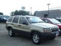 Champagne Pearl - Grand Cherokee Laredo 4x4 Photo No. 3