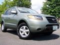 2008 Natural Khaki Green Hyundai Santa Fe GLS  photo #1