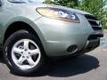 2008 Natural Khaki Green Hyundai Santa Fe GLS  photo #2