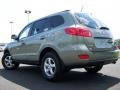 2008 Natural Khaki Green Hyundai Santa Fe GLS  photo #4