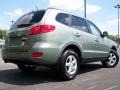 2008 Natural Khaki Green Hyundai Santa Fe GLS  photo #7