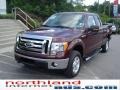 Royal Red Metallic - F150 XLT SuperCab 4x4 Photo No. 2