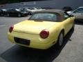 2002 Inspiration Yellow Ford Thunderbird Deluxe Roadster  photo #4