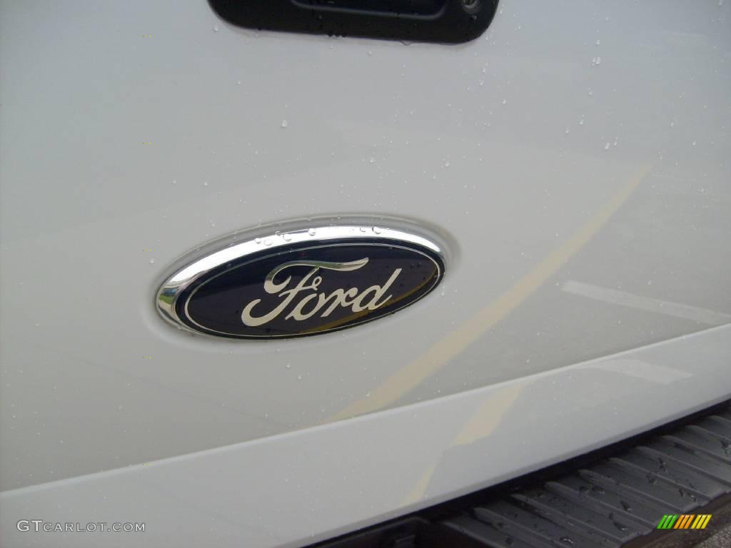 2006 F150 FX4 Regular Cab 4x4 - Oxford White / Black/Medium Flint photo #11