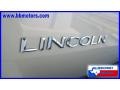 2006 Light French Silk Metallic Lincoln Navigator Ultimate  photo #9
