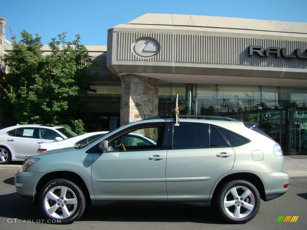 2004 RX 330 AWD - Bamboo Pearl / Ivory photo #3