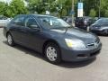 2006 Graphite Pearl Honda Accord LX Sedan  photo #5
