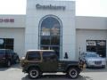 1998 Moss Green Pearl Jeep Wrangler Sahara 4x4  photo #1