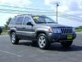 2004 Graphite Metallic Jeep Grand Cherokee Limited 4x4  photo #9
