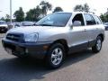 Smart Silver - Santa Fe GLS 4WD Photo No. 1